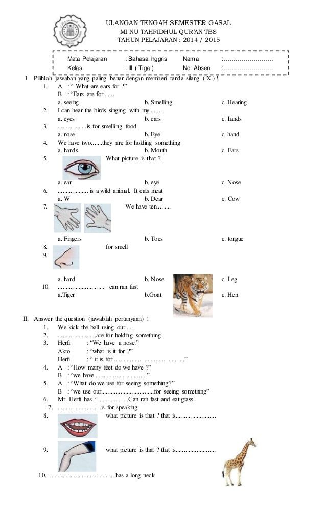 7 Rahasia Nilai Sempurna dengan Latihan Contoh Soal B.Inggris Kelas 3 SD Semester 1 Terbaru