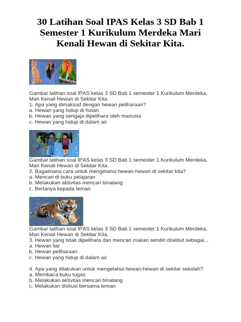7 Rahasia Kumpulan Soal IPA Kelas 3 Semester 1 yang Bikin Anak Pasti Lulus Ujian Stress 7 Rahasia Kumpulan Soal IPA Kelas 3 Semester 1 yang Bikin Anak Pasti Lulus Ujian Stress