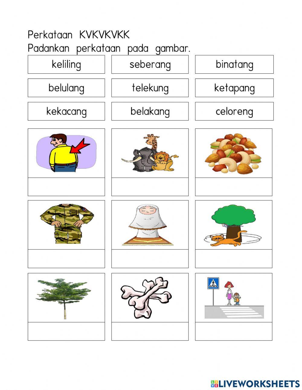 Rahasia Lulus Nilai Sempurna Lewat Kumpulan soal uas semester 1 bahasa indonesia kelas 3 sd Rahasia Lulus Nilai Sempurna Lewat Kumpulan soal uas semester 1 bahasa indonesia kelas 3 sd